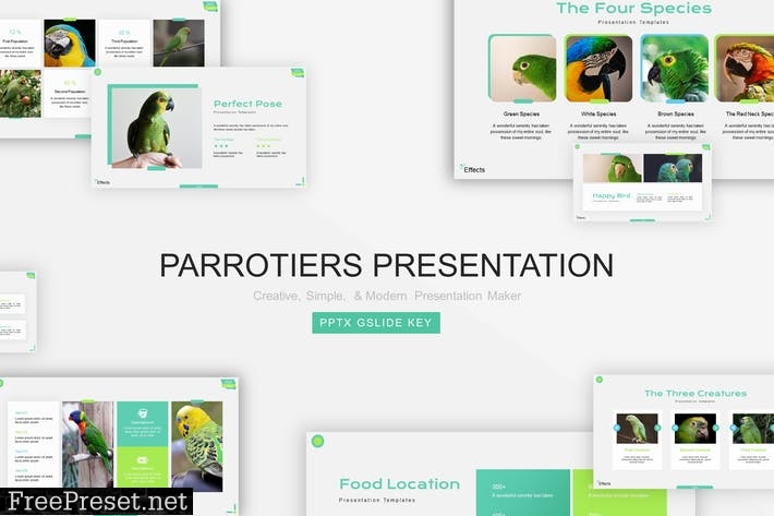 Parrotiers Presentation Template 2DDD2UV