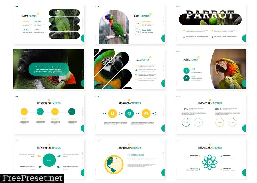 Perroquet - Presentation Template BDSAZD4