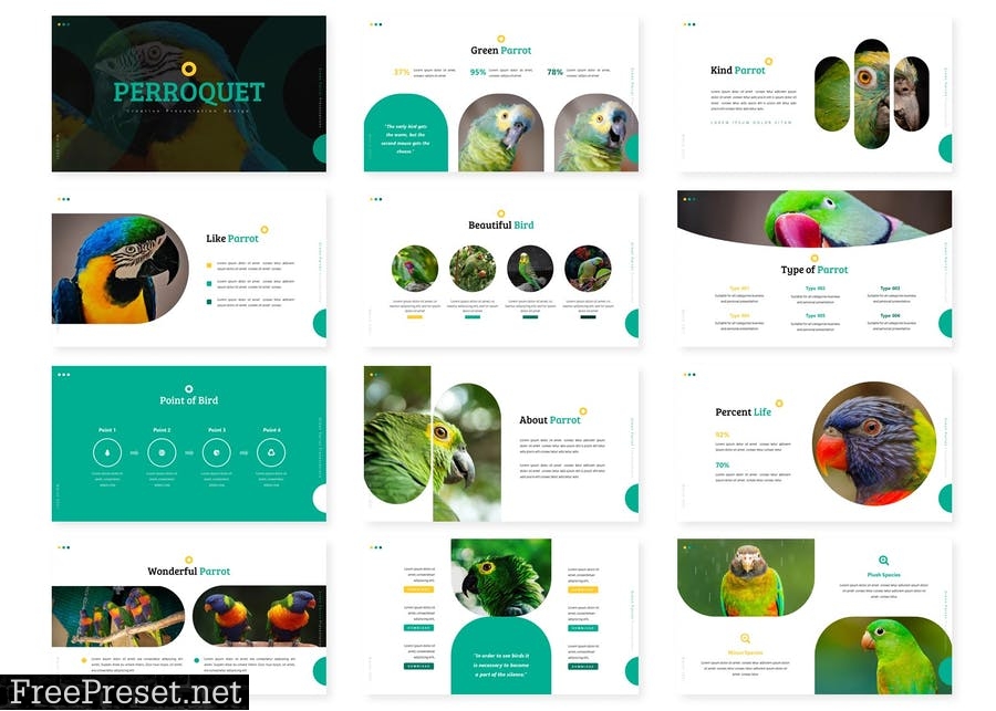 Perroquet - Presentation Template BDSAZD4