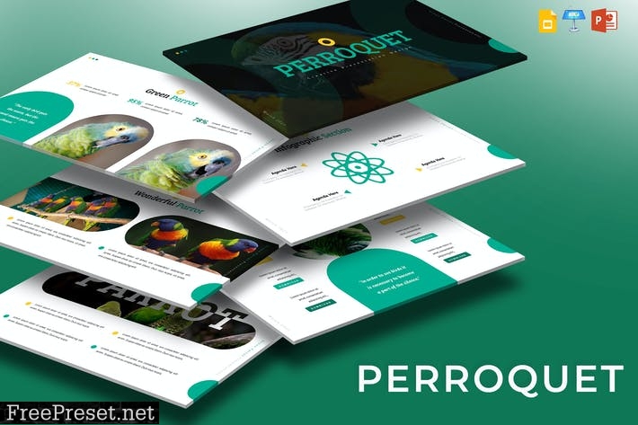 Perroquet - Presentation Template BDSAZD4