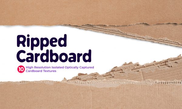 Ripped Cardboards 6725318
