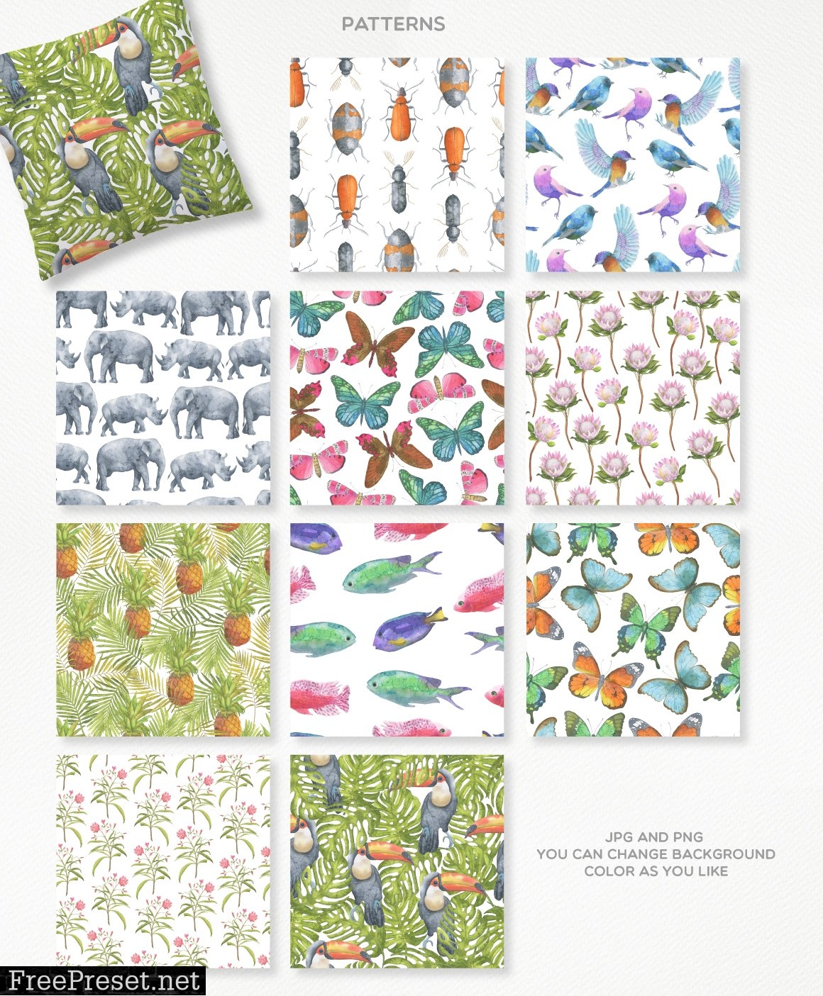 Safari Watercolor Collection 6763330