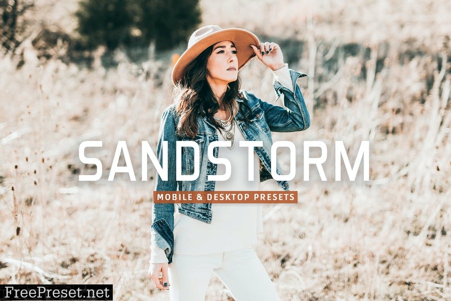 Sandstorm Mobile & Desktop Lightroom Presets