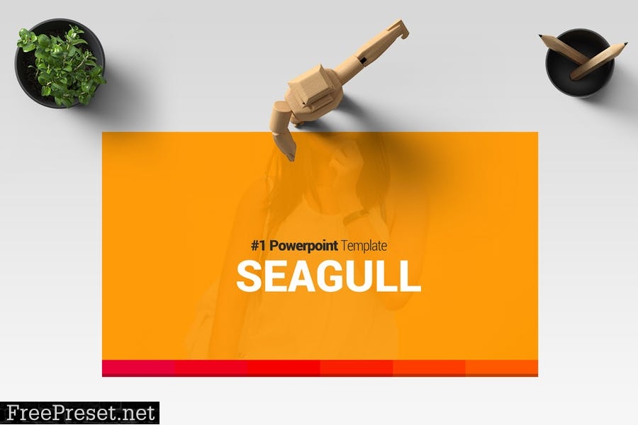 SEAGULL Powerpoint Template 9LD9GP