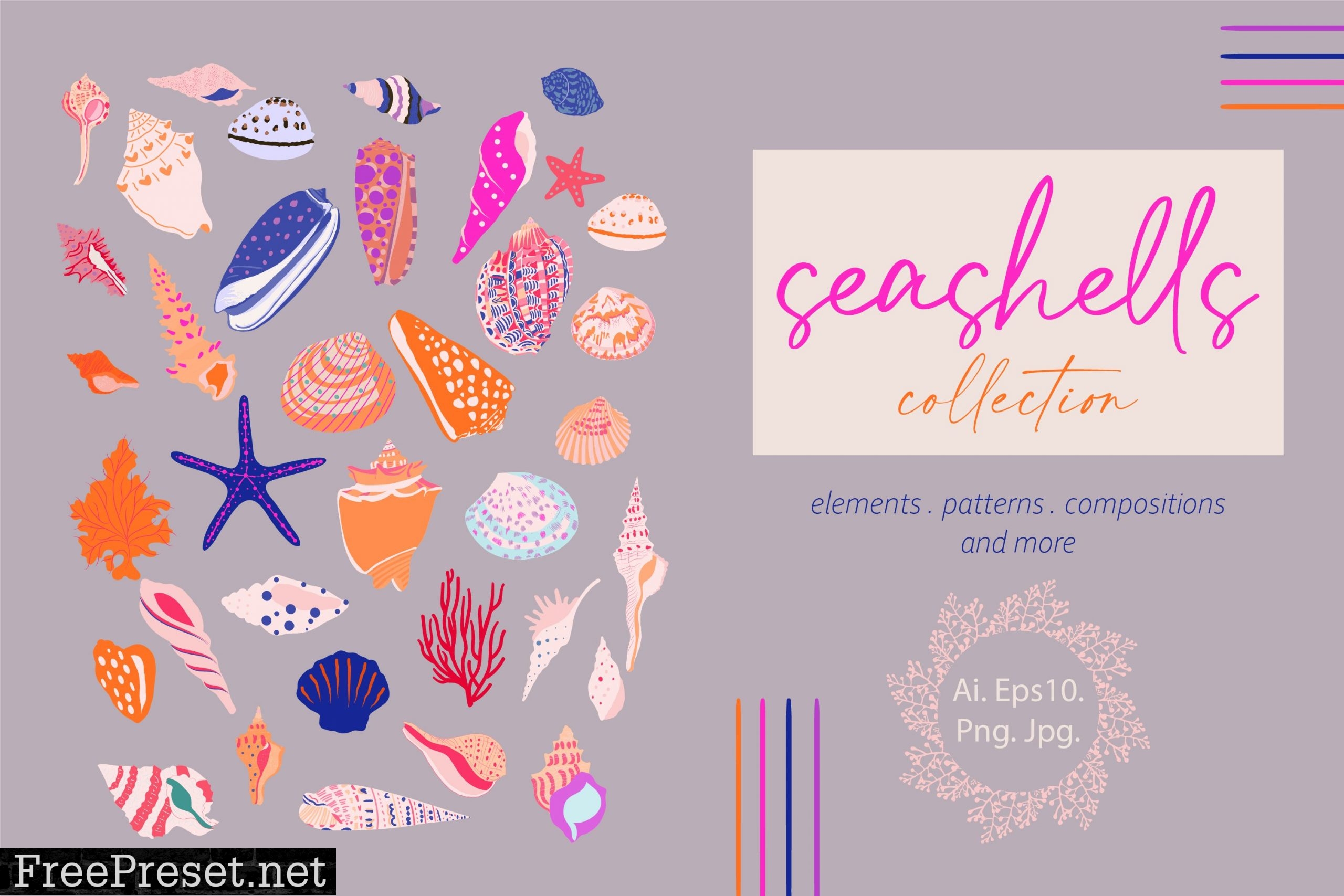 Seashells Collection 5962683