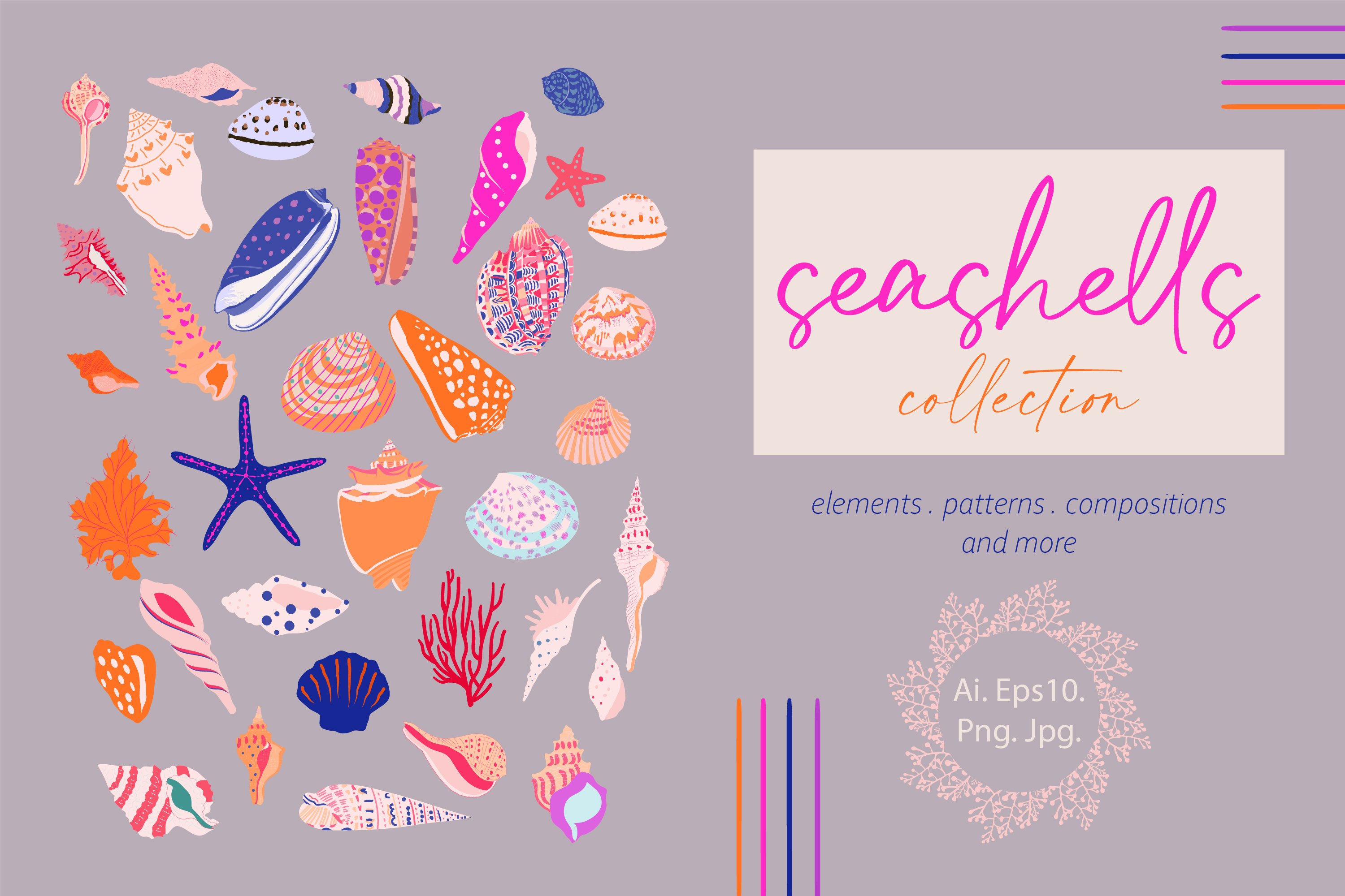 Seashells Collection 5962683