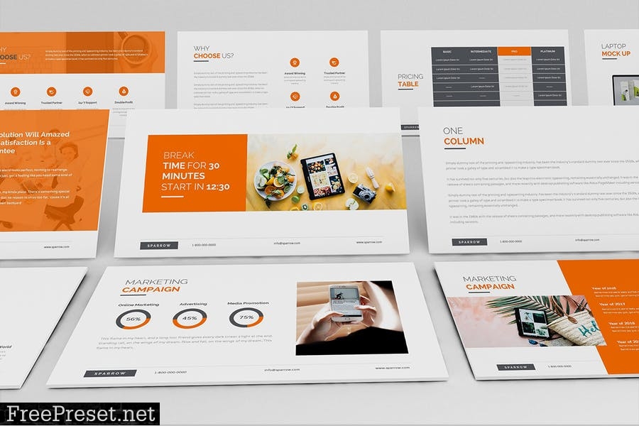 Sparrow - Creative Agency Powerpoint Presentation