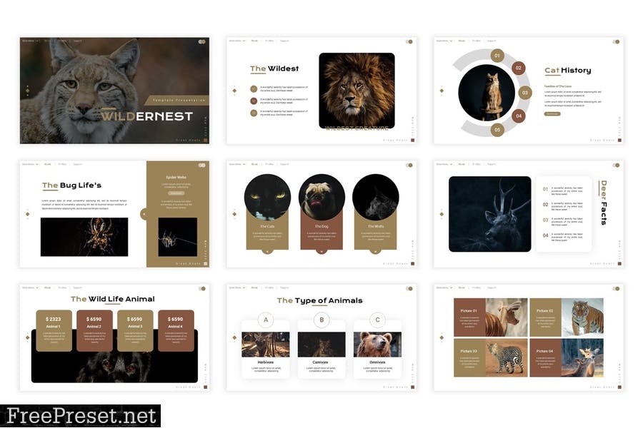 Wildernest Presentation Template JVDCWG7