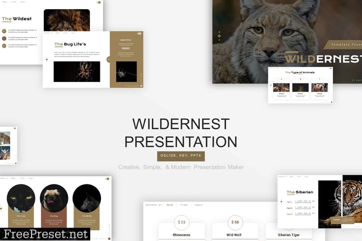 Wildernest Presentation Template JVDCWG7