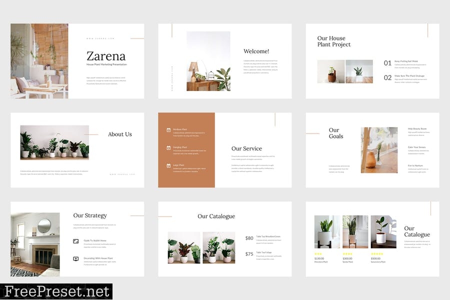 Zarena - House Plant Powerpoint Template 6YDBZL6