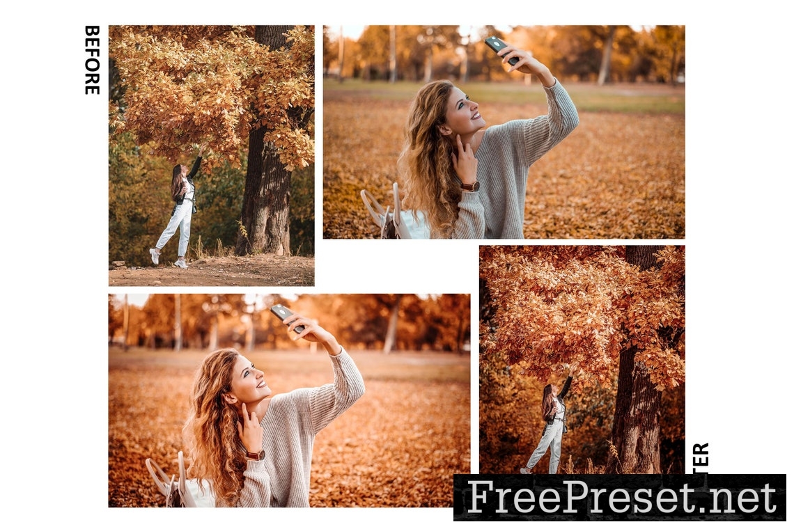 10 Alive Autumn Lightroom Presets