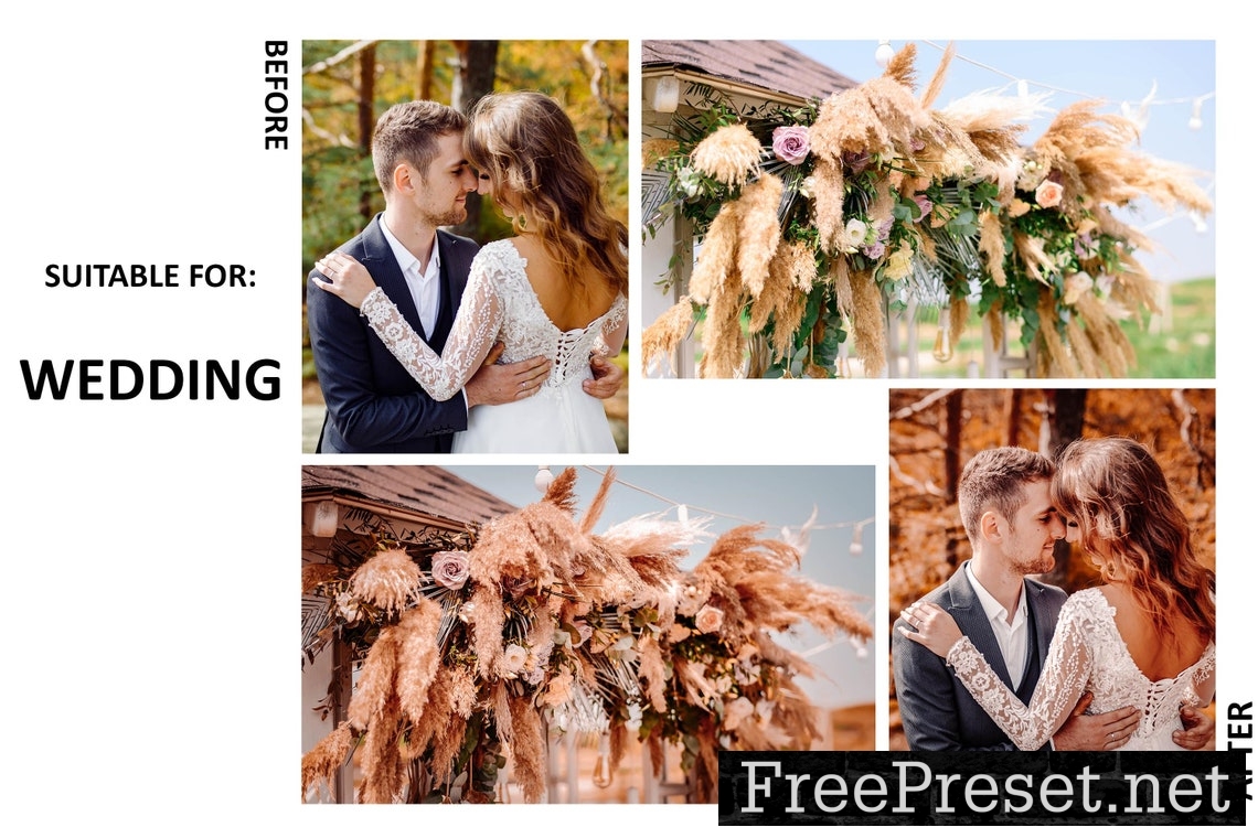 10 Alive Autumn Lightroom Presets