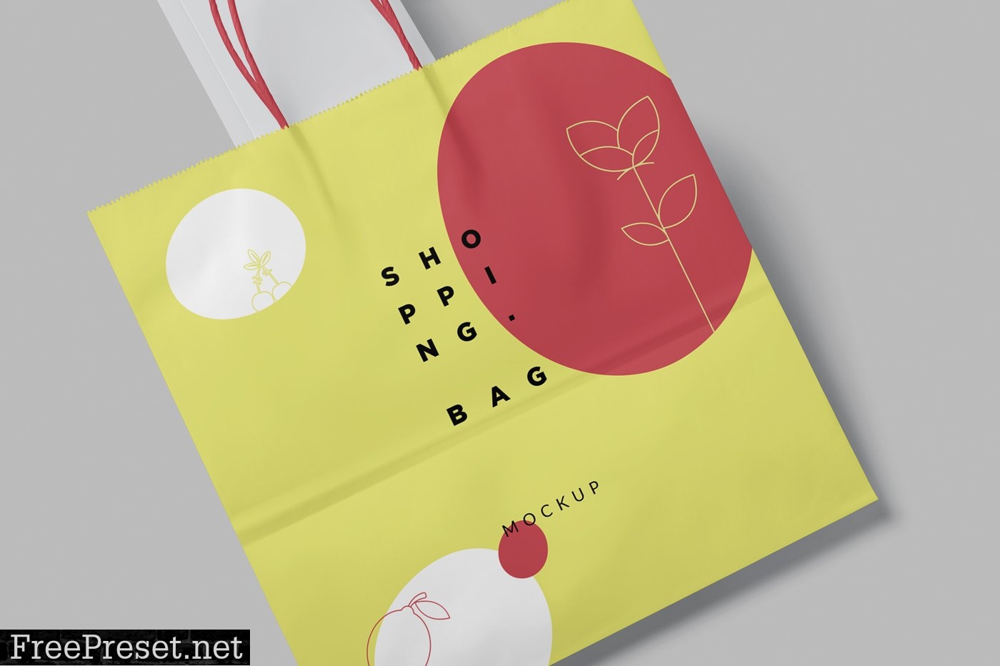 6 Paper Shopping Bag Mockups 6706689