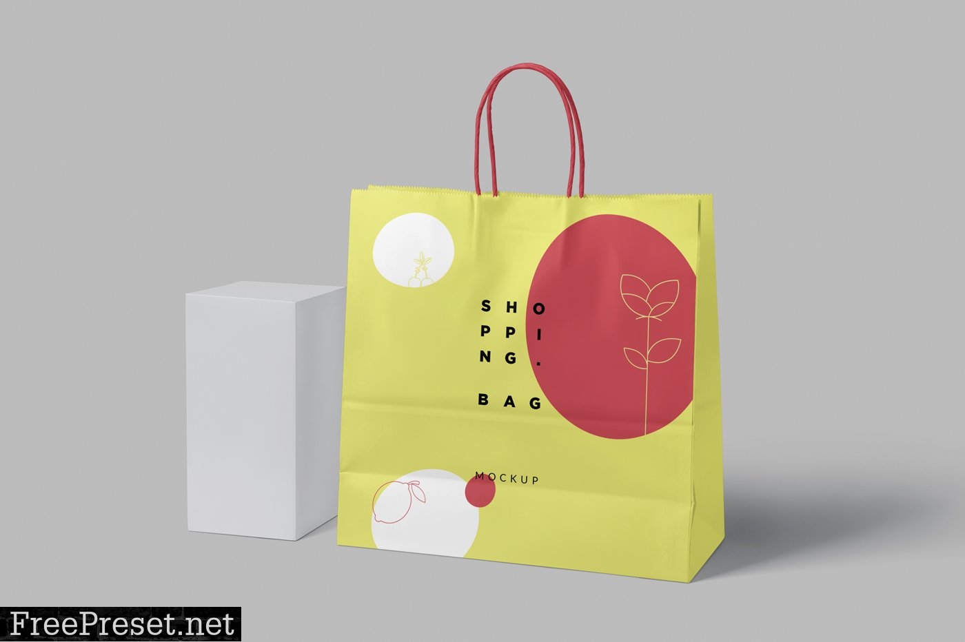 6 Paper Shopping Bag Mockups 6706689