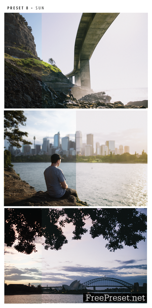 Alen Palander - Travel Pack - 11 Premium Presets