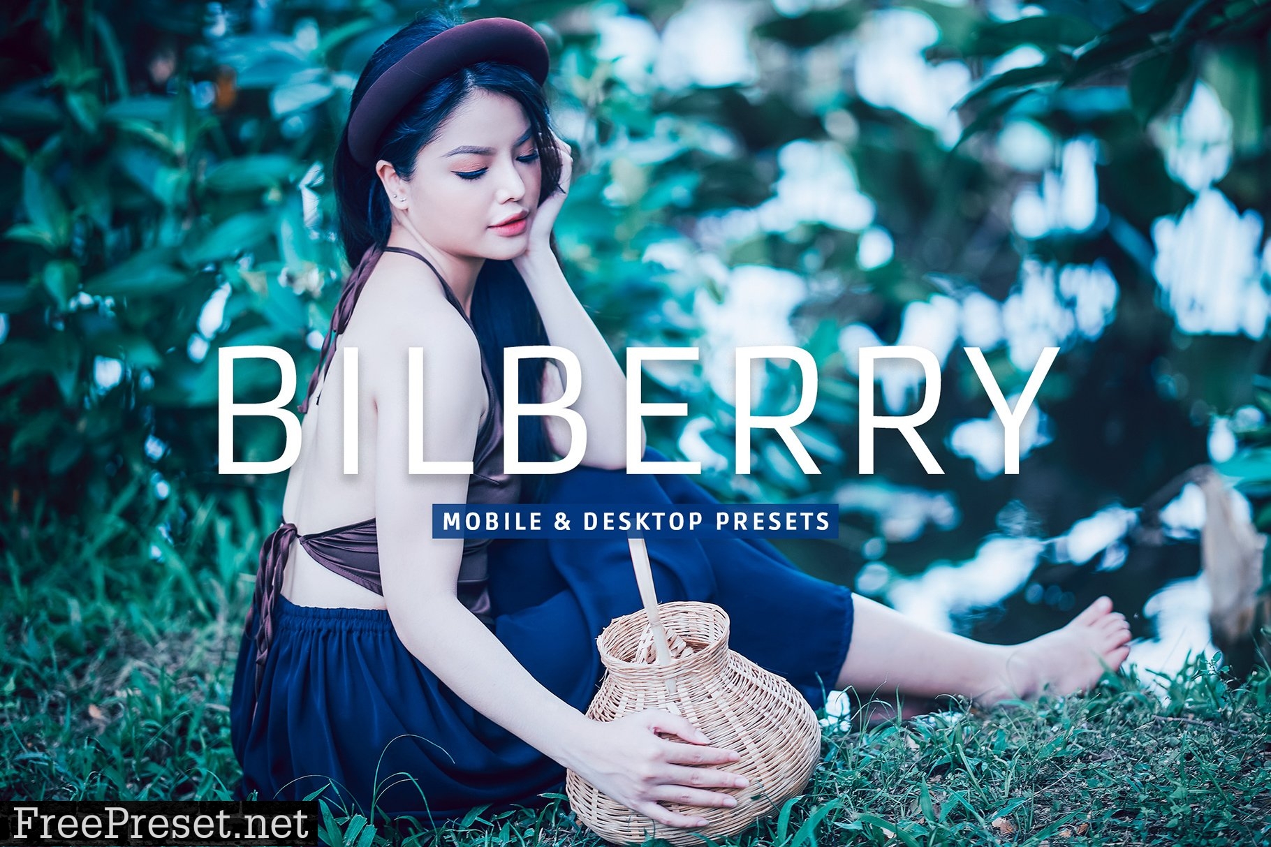 Bilberry Pro Lightroom Presets 7469776