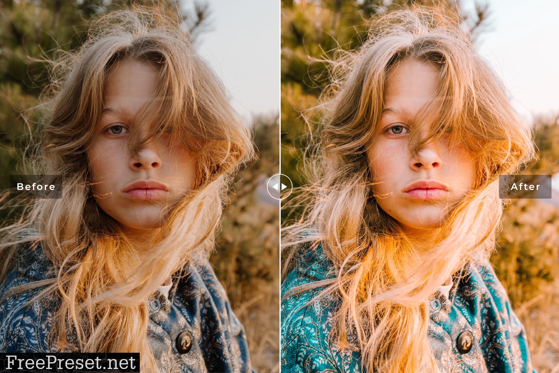 Cloudberry Pro Lightroom Presets 7469782