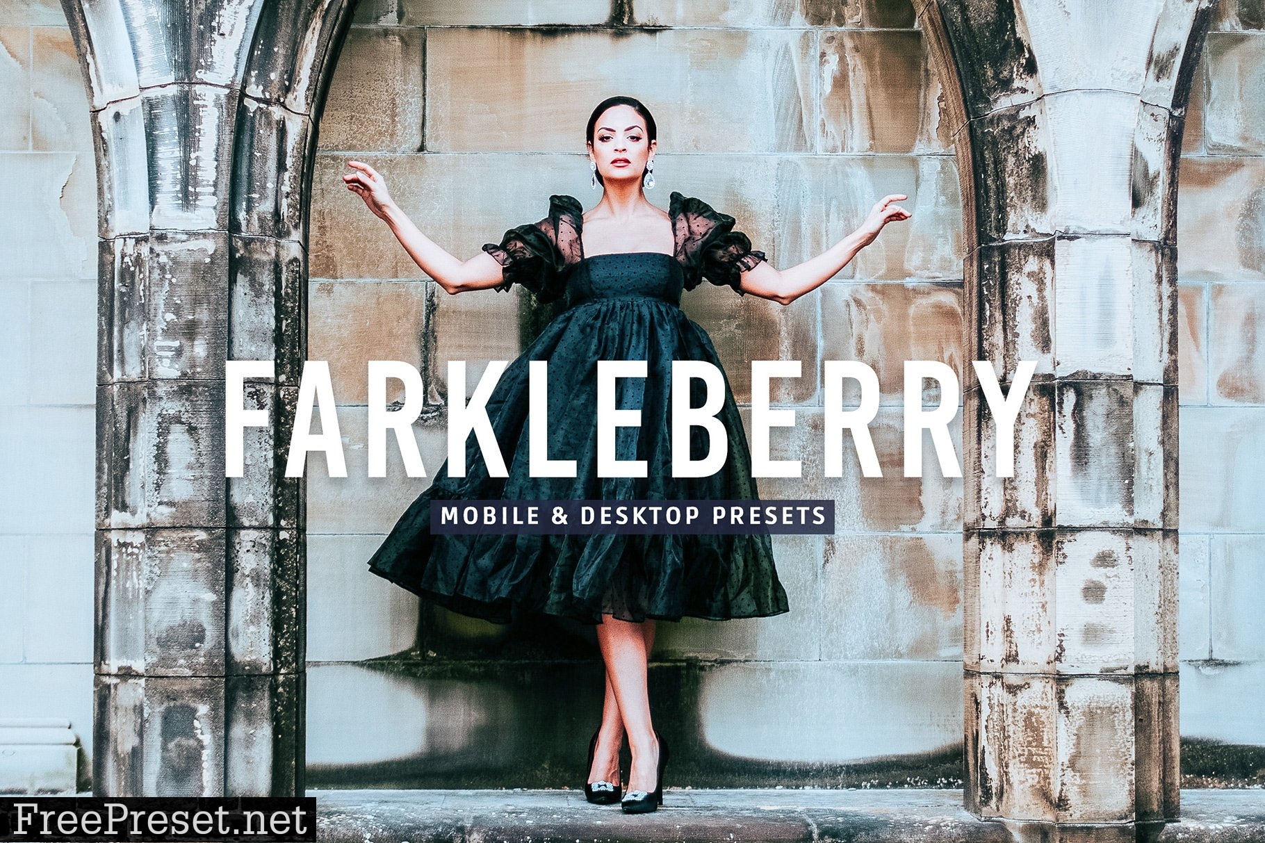 Farkleberry Pro Lightroom Presets 7469788