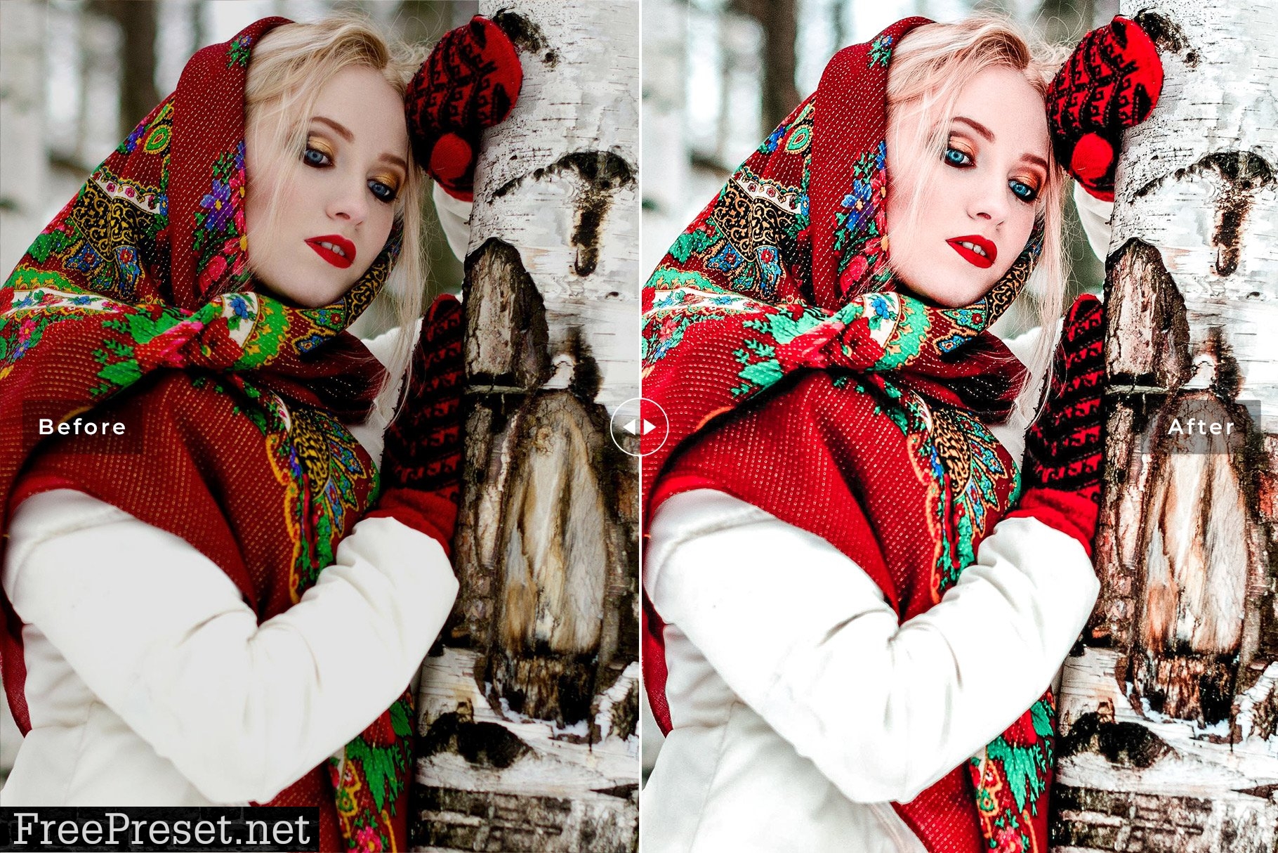 Holly Berry Pro Lightroom Presets 7473582