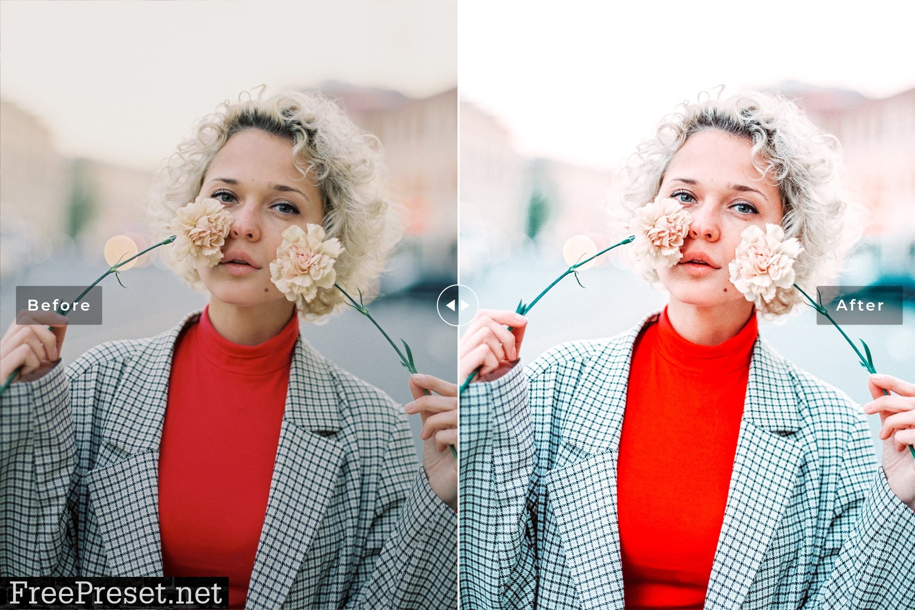 Holly Berry Pro Lightroom Presets 7473582