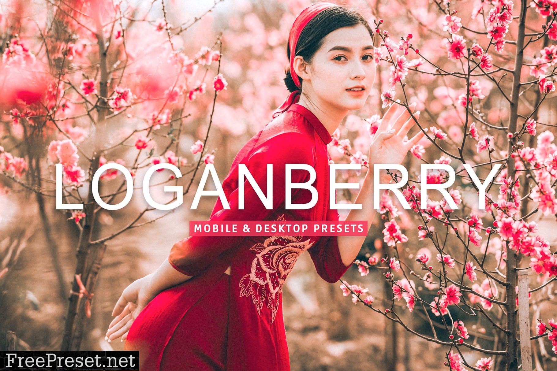 Loganberry Pro Lightroom Presets 7473584