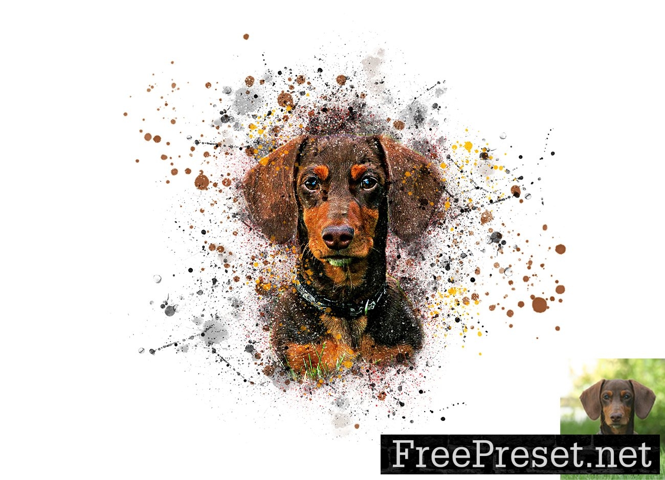 Pets Abstract Art Photoshop Action 7541562