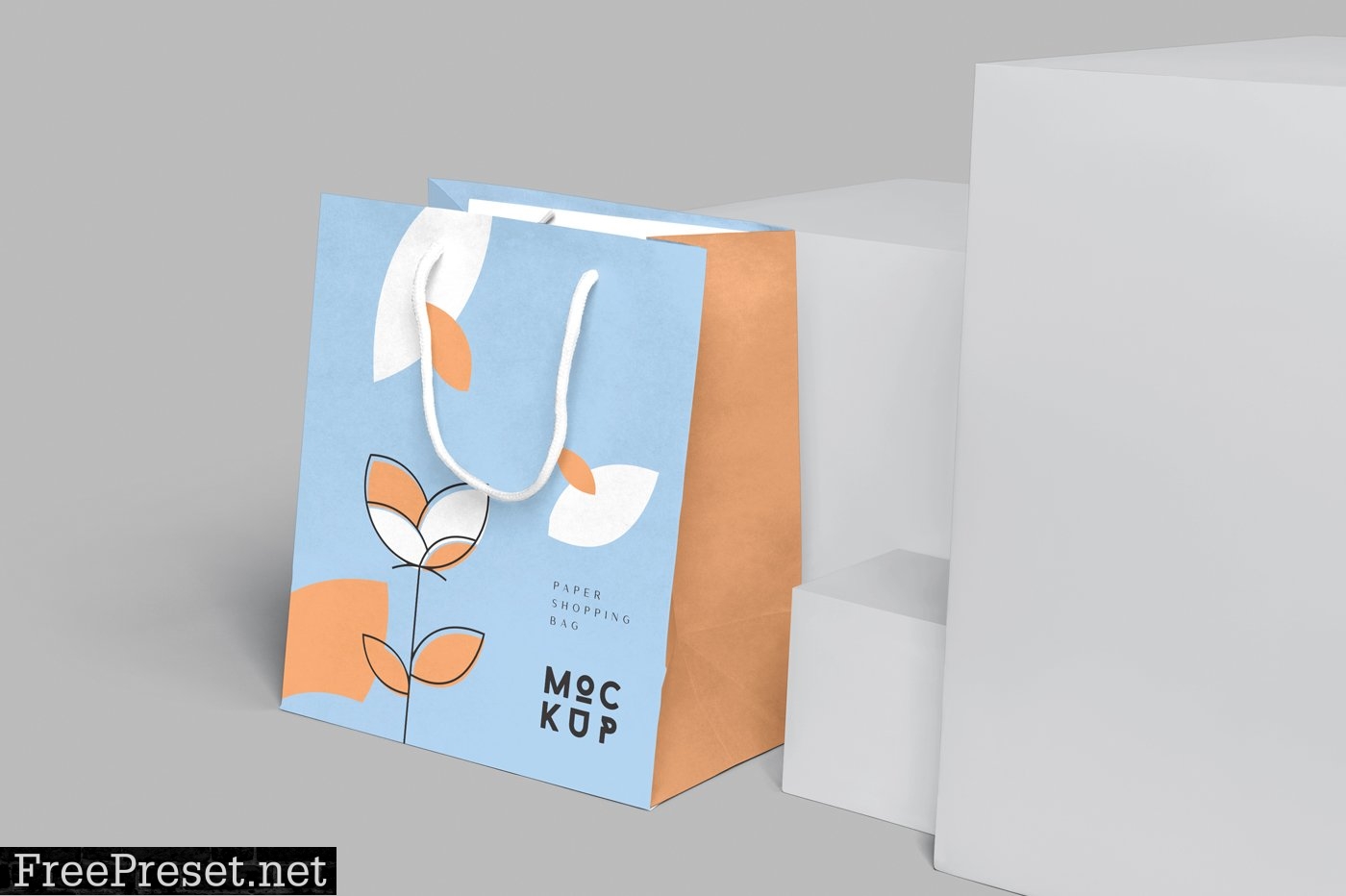 Rectangle Paper Shopping Bag Mockups 6629541