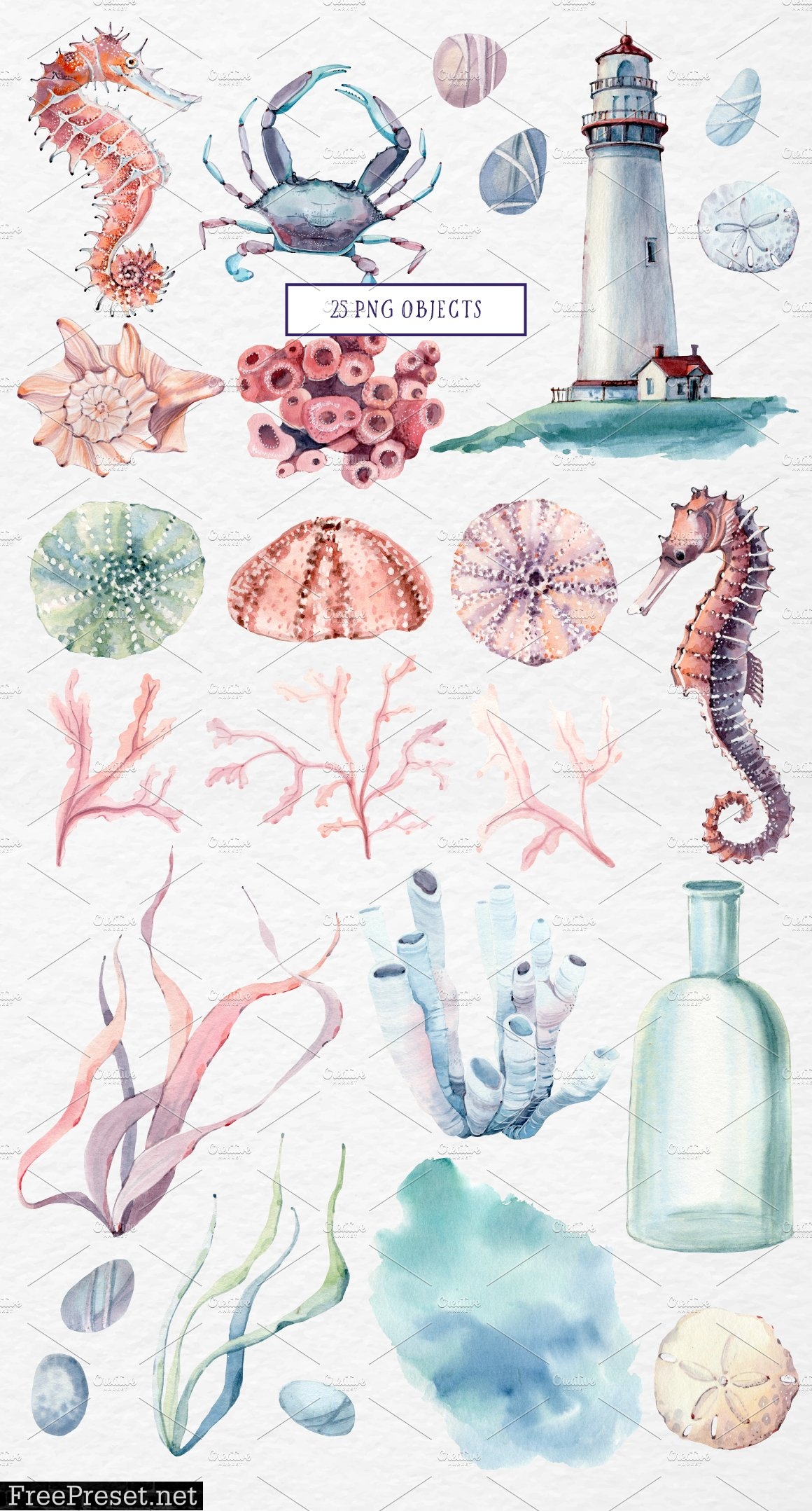 SEA TREASURES Watercolor set 1329362