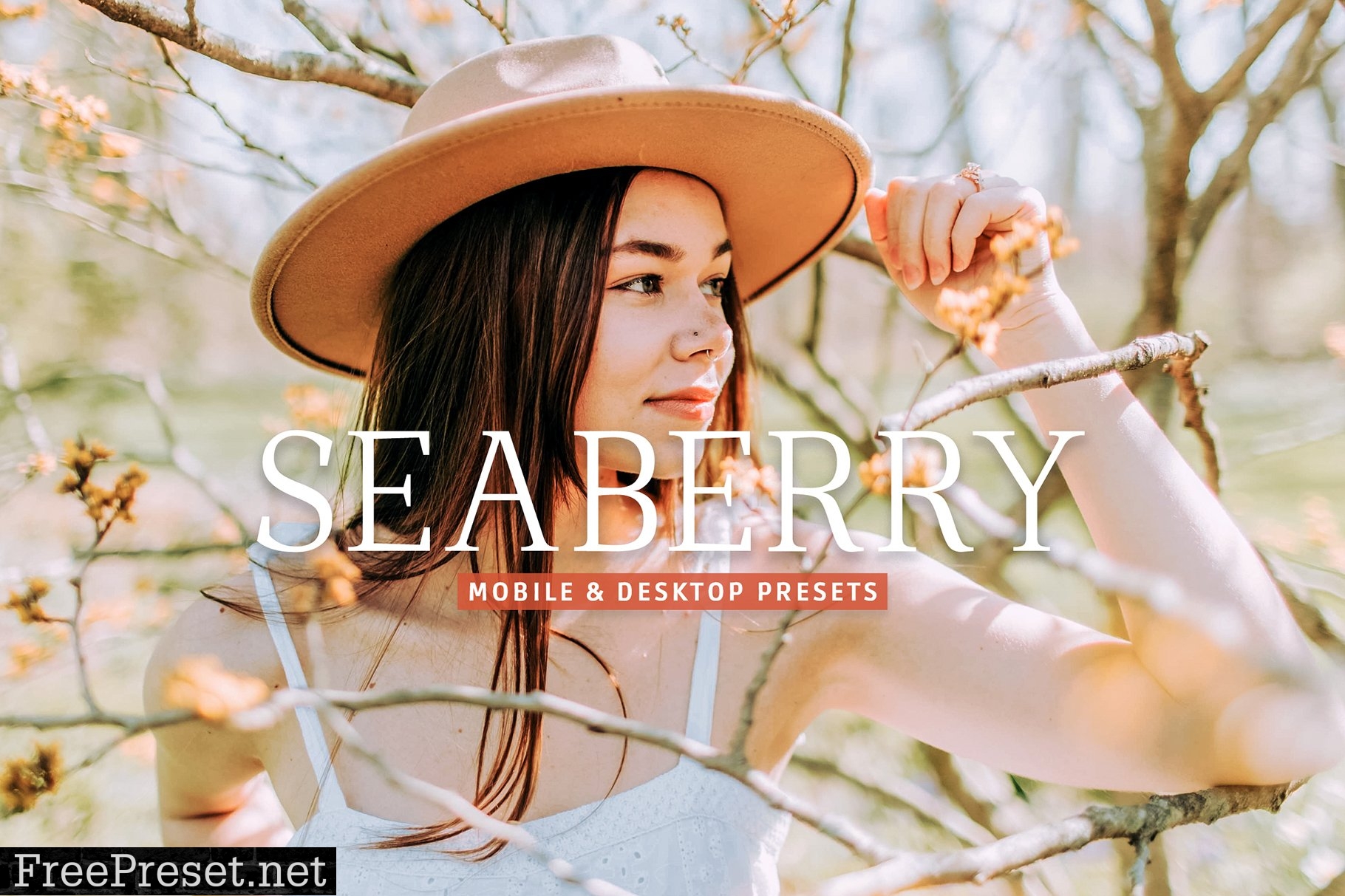 Seaberry Pro Lightroom Presets 7473595