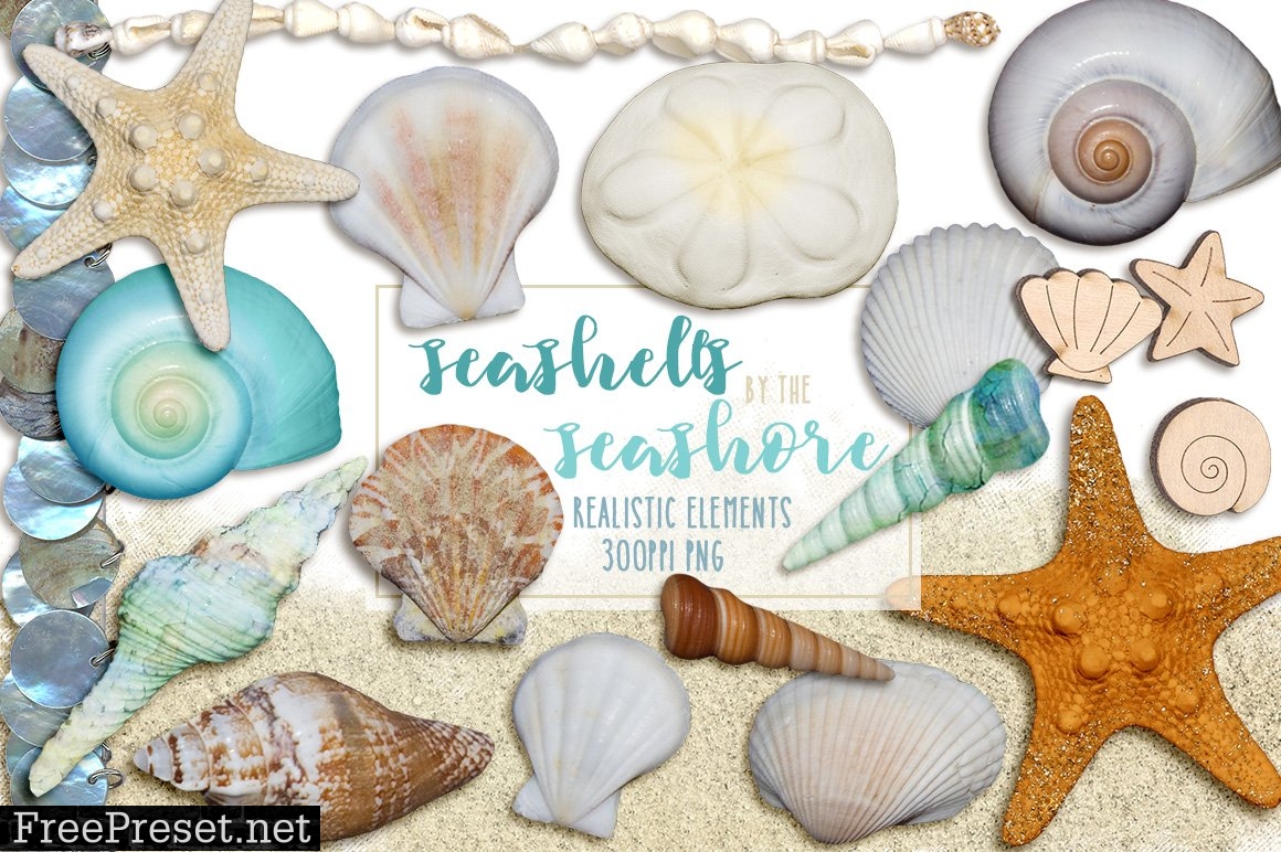 Seashells by the Seashore Elements 1451215