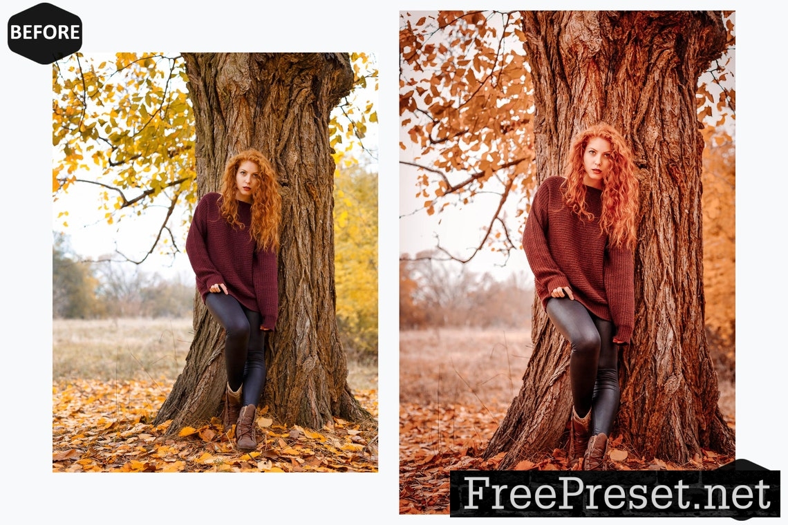 10 Alive Autumn Photoshop Actions And ACR Presets