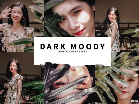 10 Dark Moody Lightroom Presets 5748492