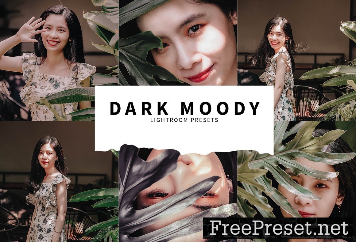 10 Dark Moody Lightroom Presets 5748492