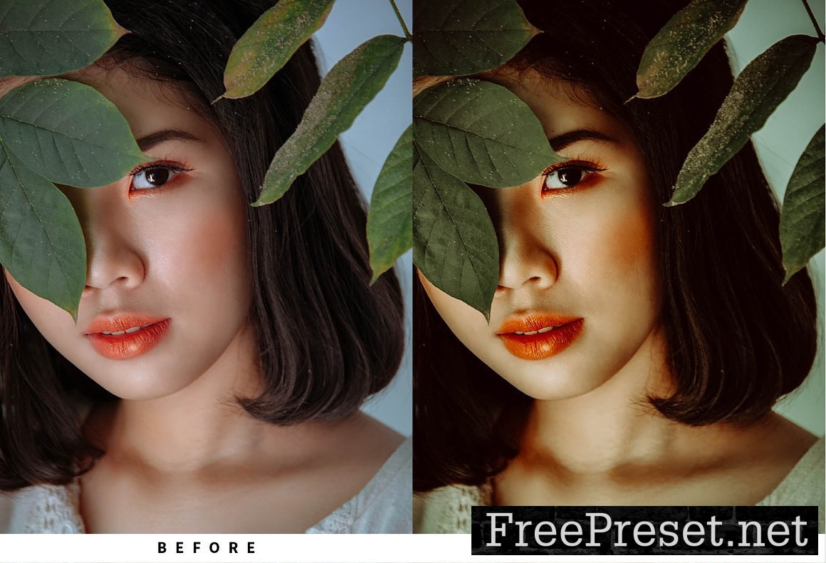 10 Portrait Lightroom Presets 5731236