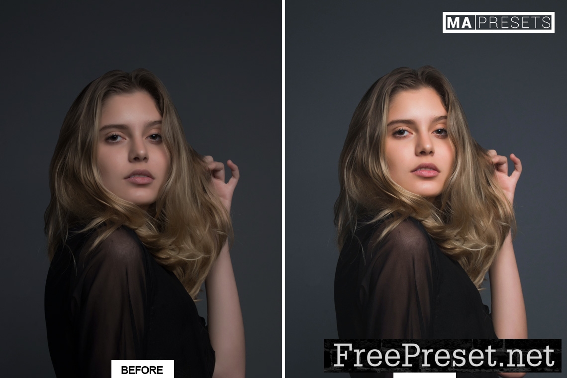 10 PORTRAIT PRO – Mobile & Desktop Lightroom Presets