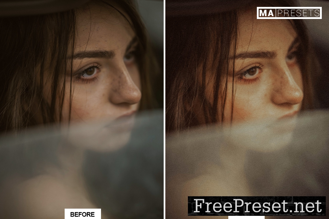 10 RENAISSANCE Lightroom Presets