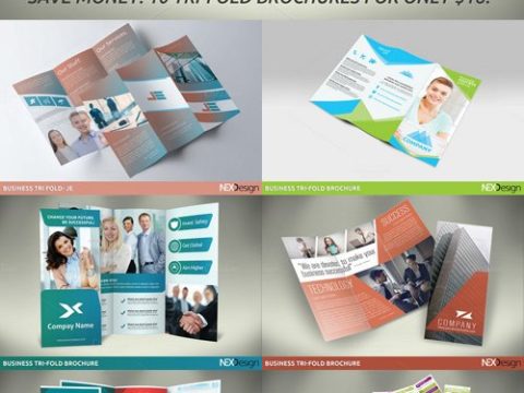 10 Tri-fold Brochures Bundle - Elite