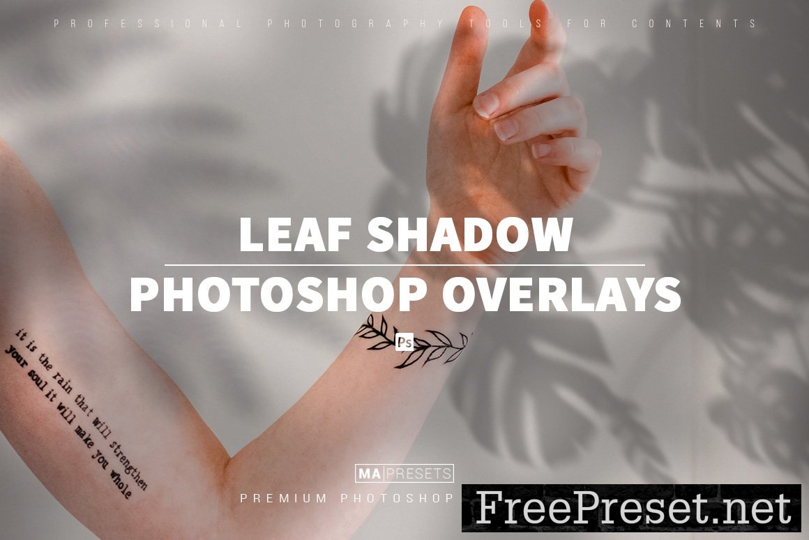 100 LEAF SHADOW OVERLAYS