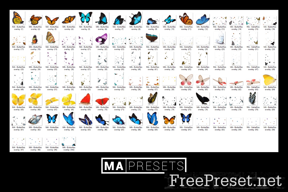 100 REALISTIC BUTTERFLIES OVERLAYS FREE DOWNLOAD