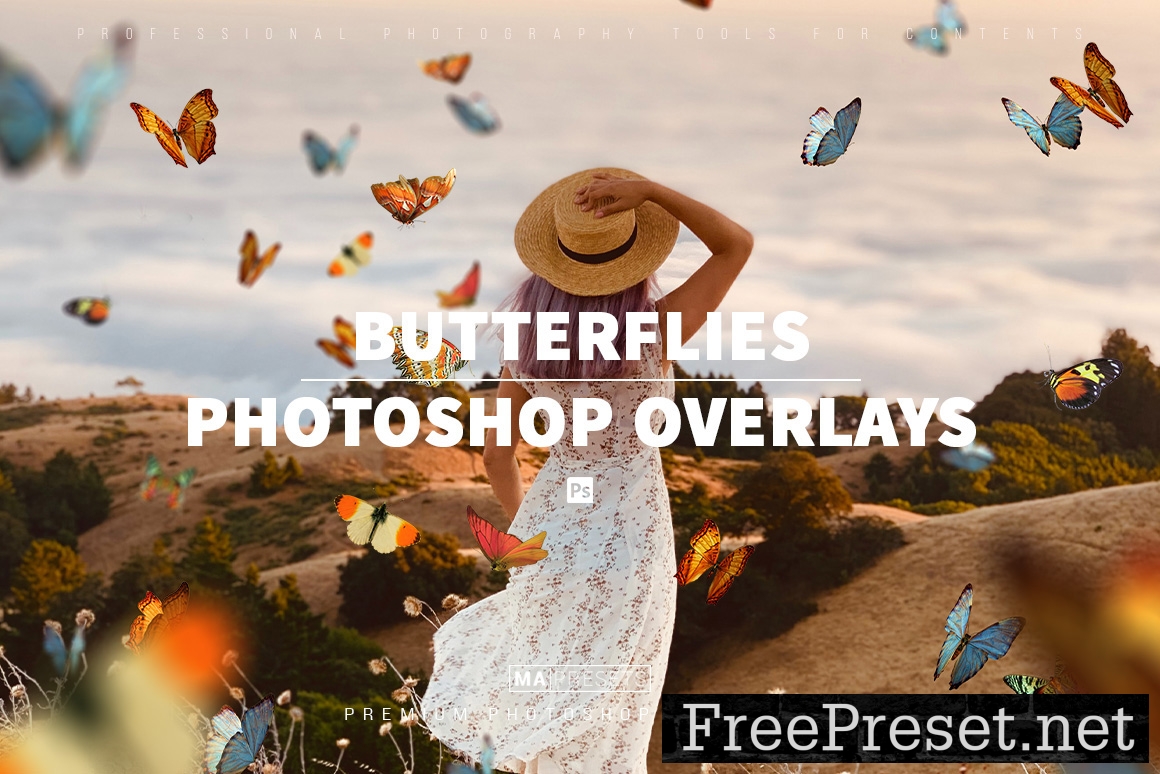 100 REALISTIC BUTTERFLIES OVERLAYS FREE DOWNLOAD