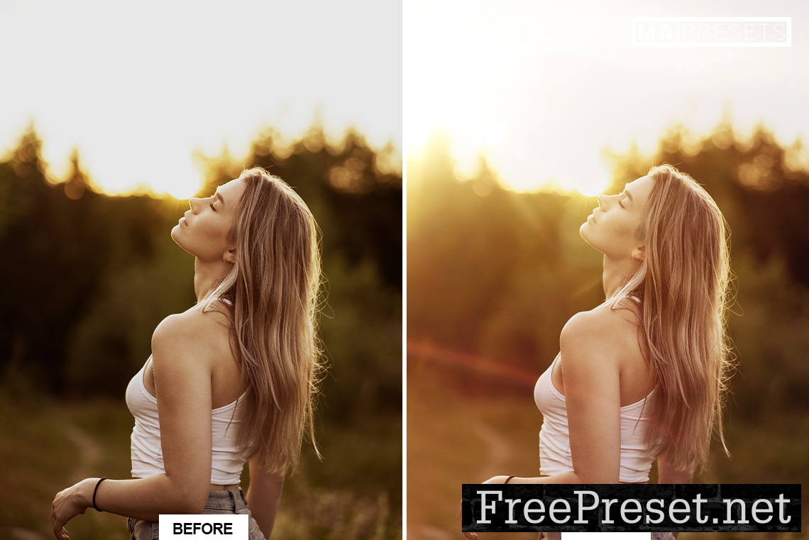 110 NATURAL LIGHT LEAKS OVERLAYS