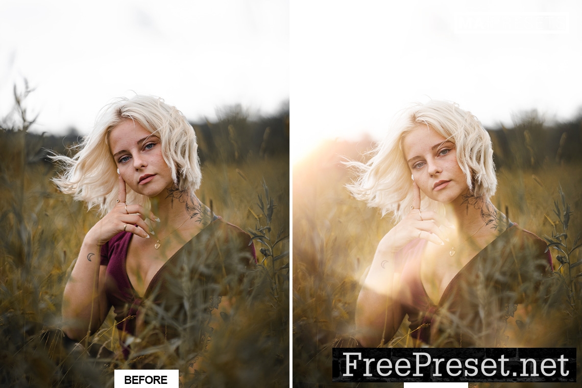 110 NATURAL LIGHT LEAKS OVERLAYS