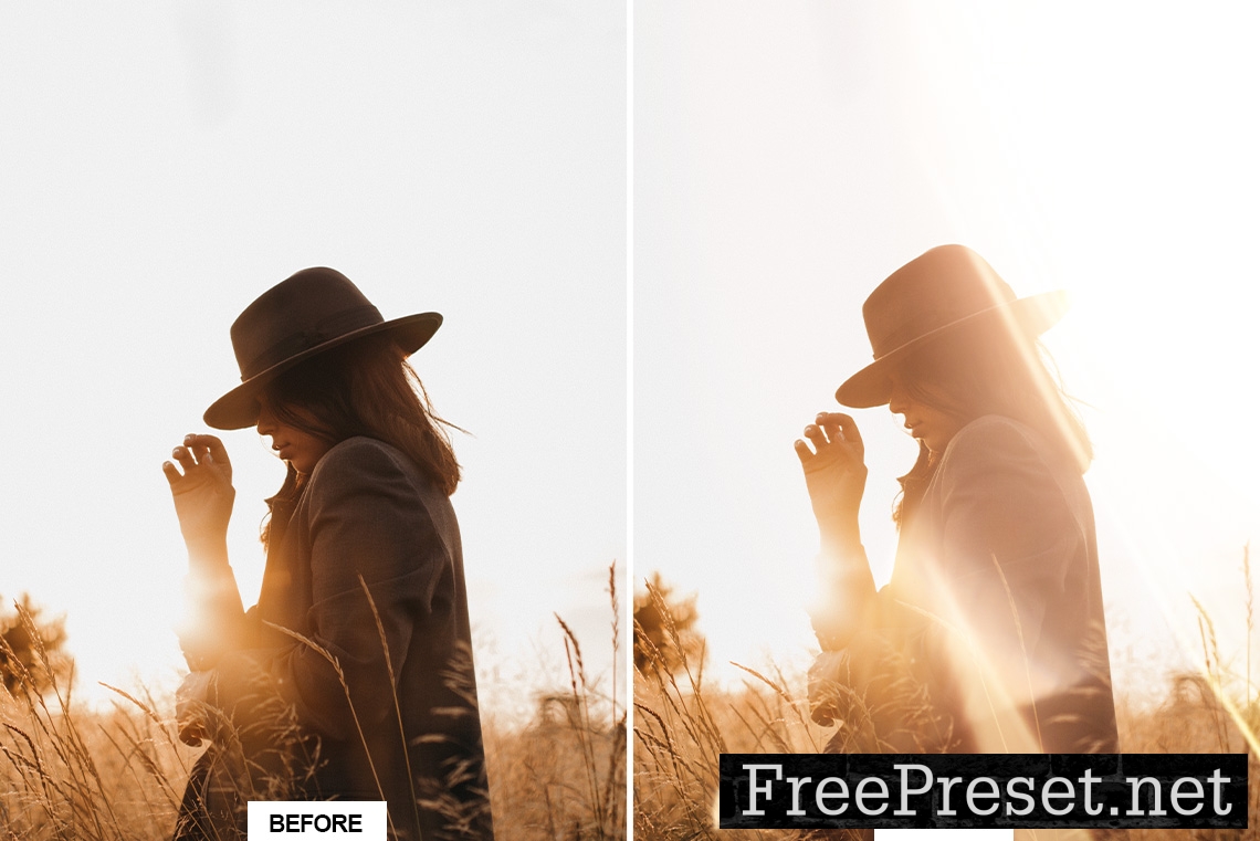 110 NATURAL LIGHT LEAKS OVERLAYS