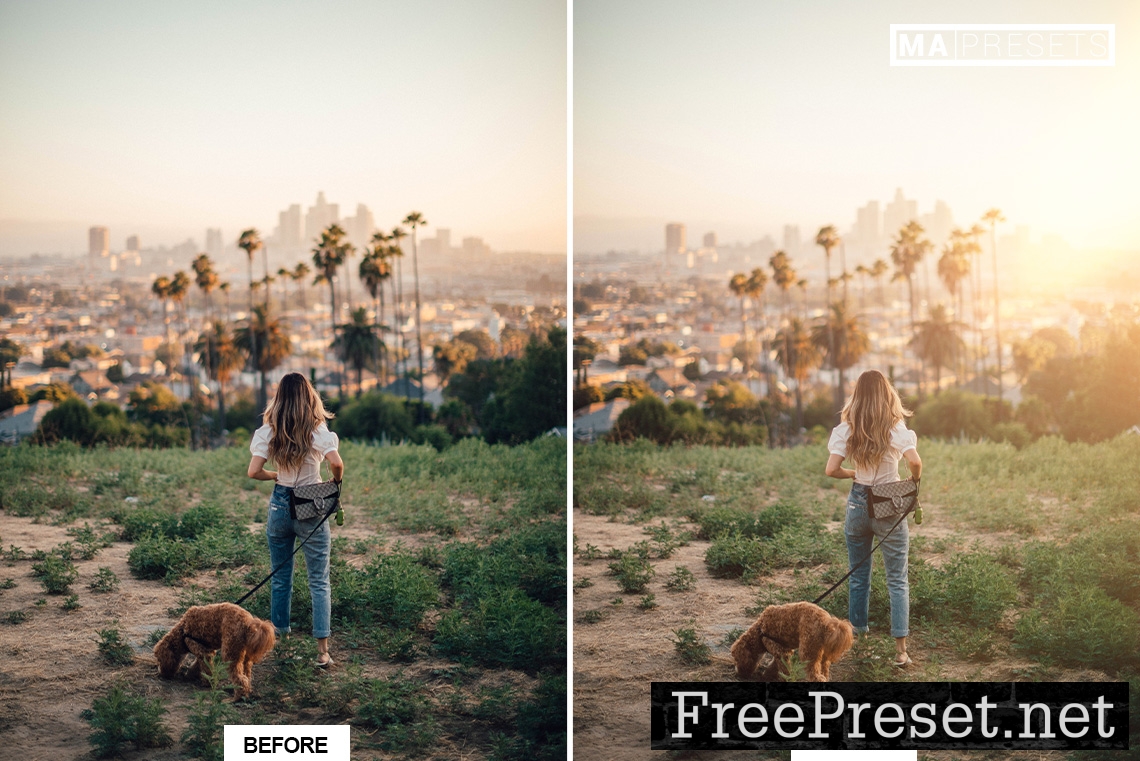 110 NATURAL LIGHT LEAKS OVERLAYS