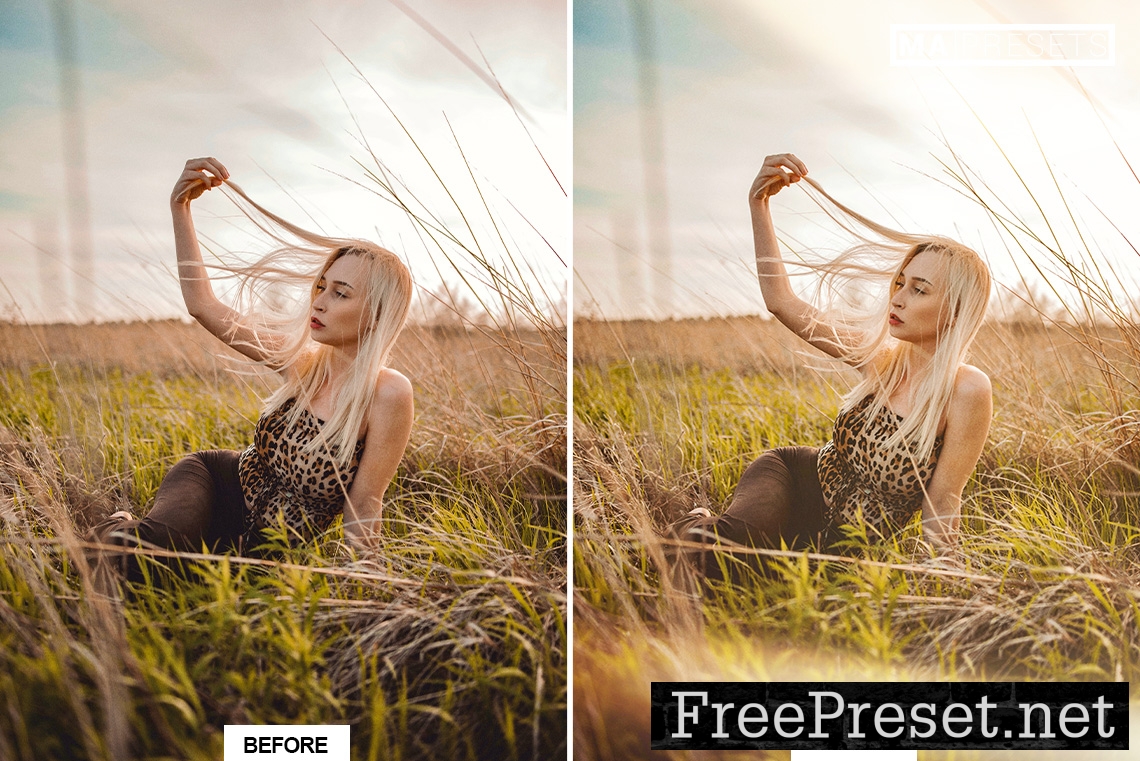 110 NATURAL LIGHT LEAKS OVERLAYS