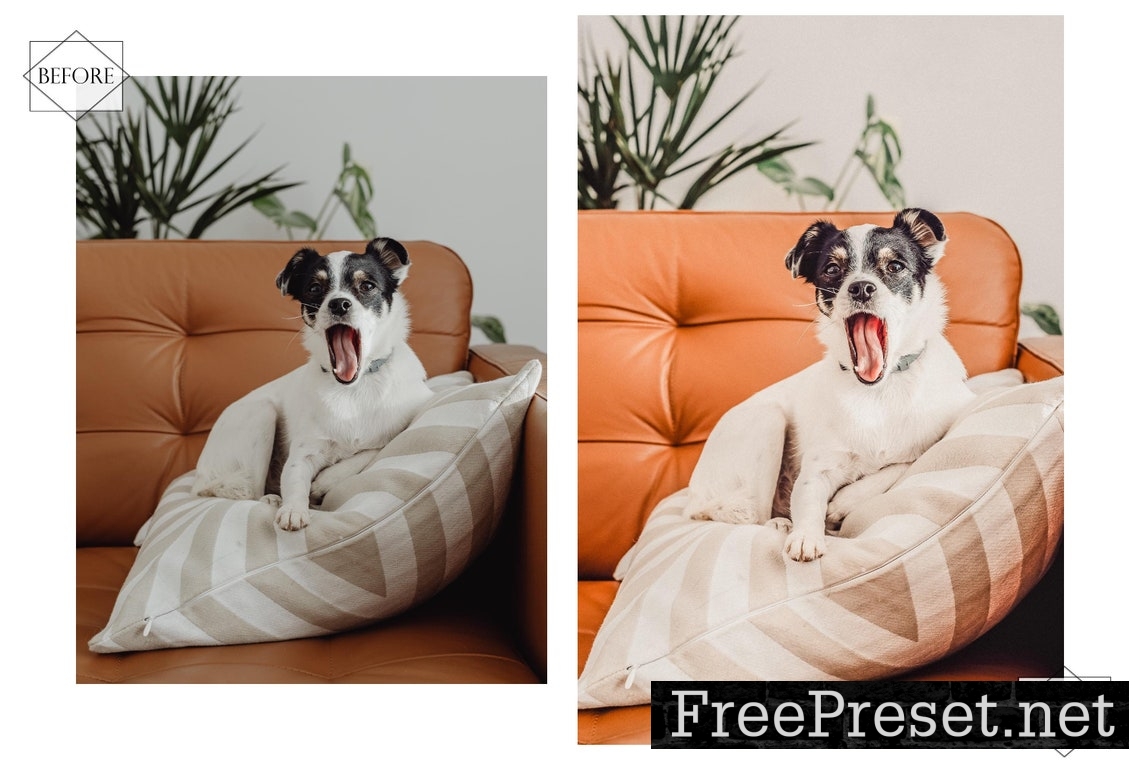 12 Mobile Lightroom Presets, Huppy Puppy Mobile Preset