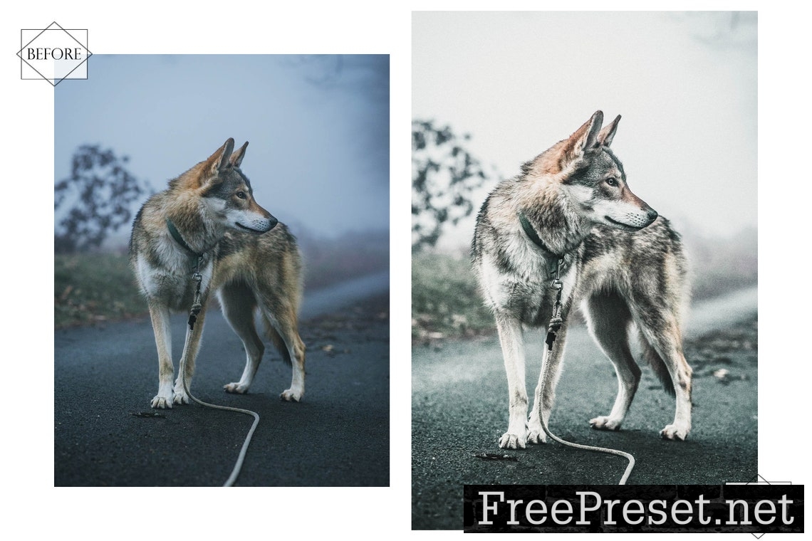 12 Mobile Lightroom Presets, Huppy Puppy Mobile Preset