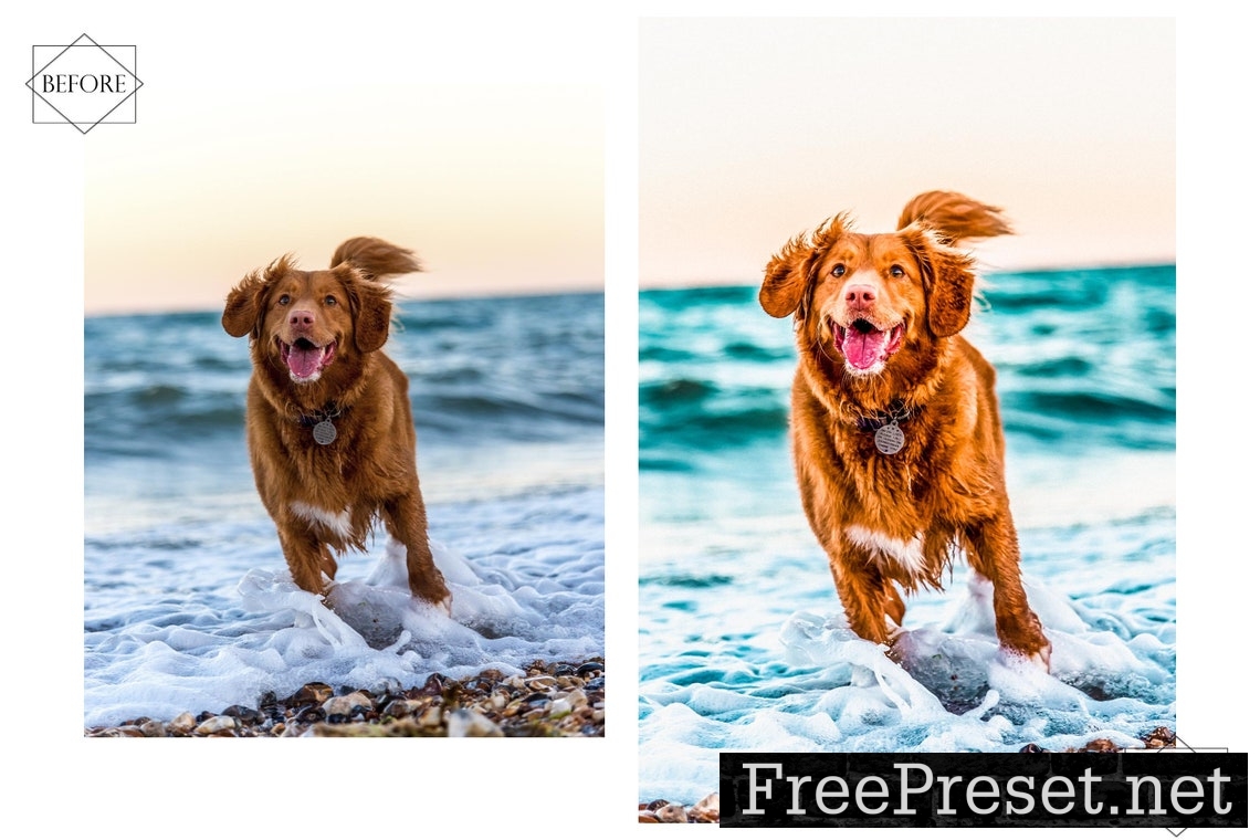 12 Mobile Lightroom Presets, Huppy Puppy Mobile Preset