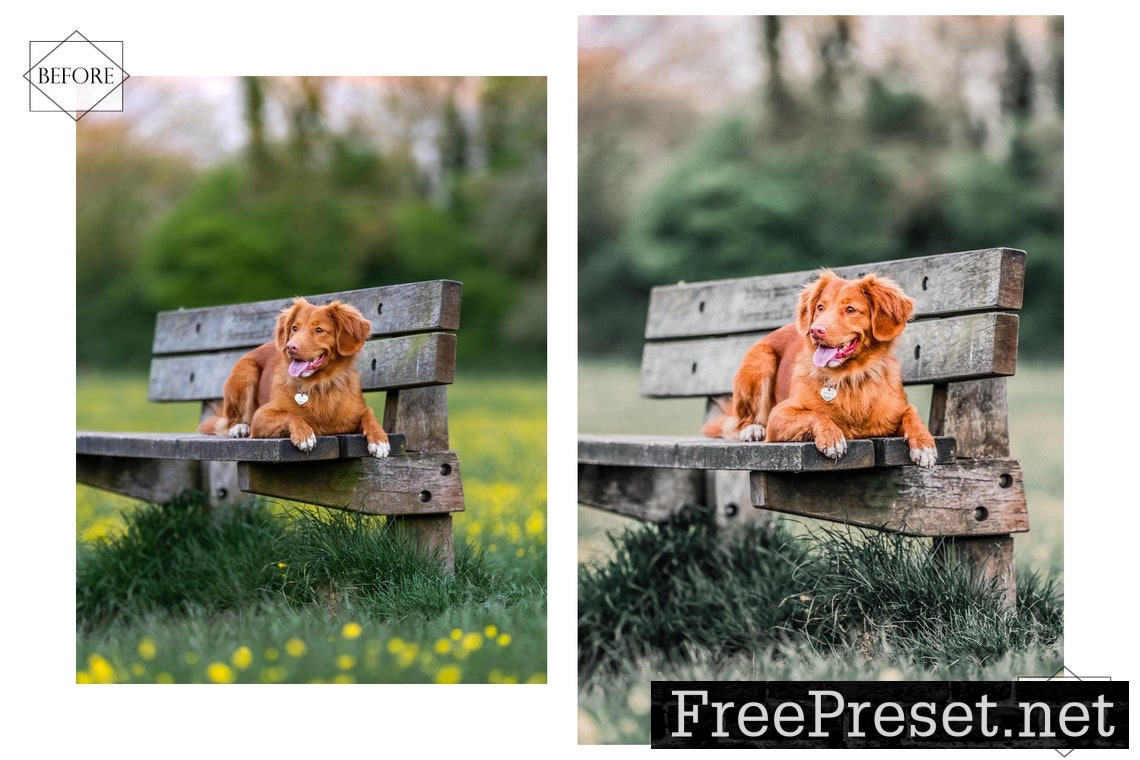 12 Mobile Lightroom Presets, Huppy Puppy Mobile Preset