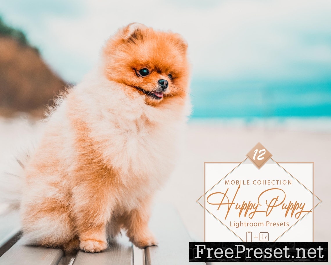 12 Mobile Lightroom Presets, Huppy Puppy Mobile Preset